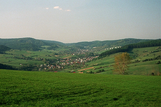 Powronik. Beskid Sdecki