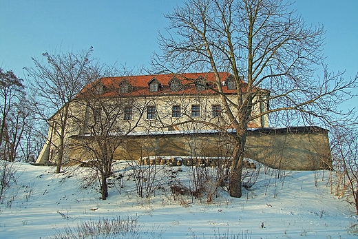 Klasztor i koci pobenedyktyski. Mogilno