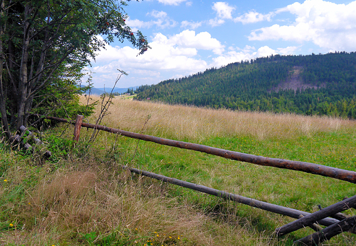 Beskid lski. Przecz Salmopolska.