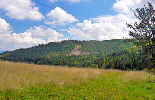 Beskid lski. Widok z Przeczy Salmopolskiej.