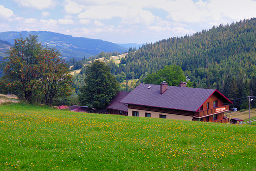 Beskid lski. Na Przeczy Salmopolskiej.