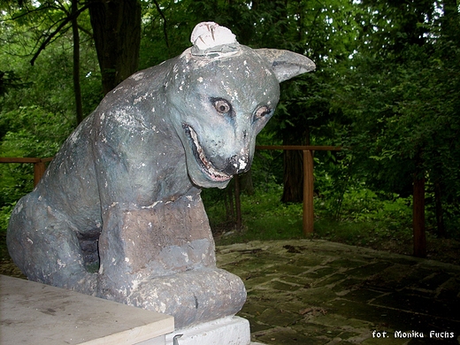 Wilcze uroczysko niedaleko Hrubieszowa. Kolonia Kryw