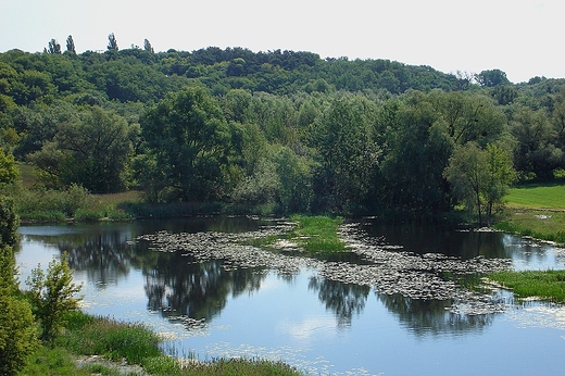 Nadwilane zalewisko