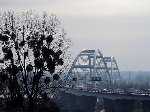 Nowy most jesieni