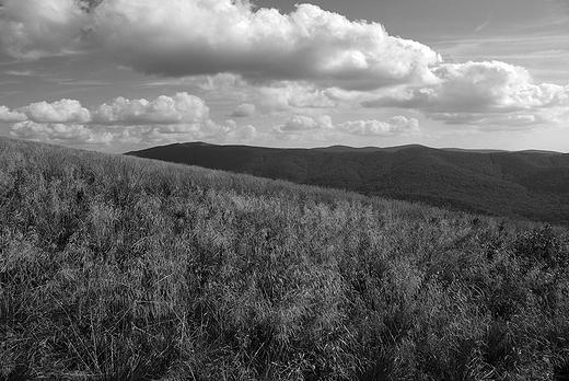 Moje Bieszczady