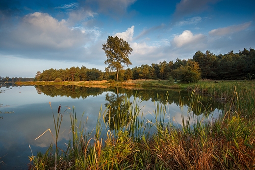 Zalew Dzibice, Kostkowice