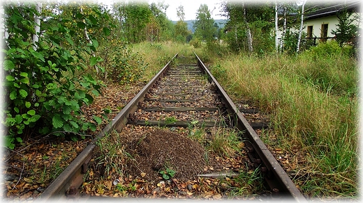 Jazda drezyn na nieczynnej linii kolejowej Jedlina Zdrj- Lubachw