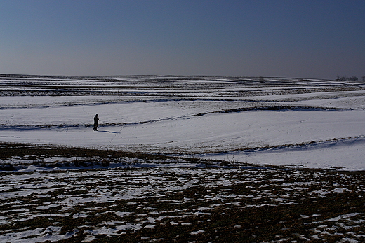 Pola zim. Szerzawy