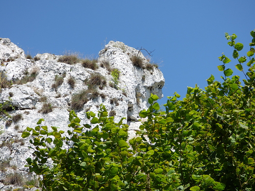 Jerzmanowice,  Grodzisko.