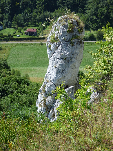 Jerzmanowice, Grodzisko  Skaa 502 .