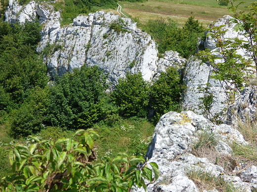 Jerzmanowice, Grodzisko.