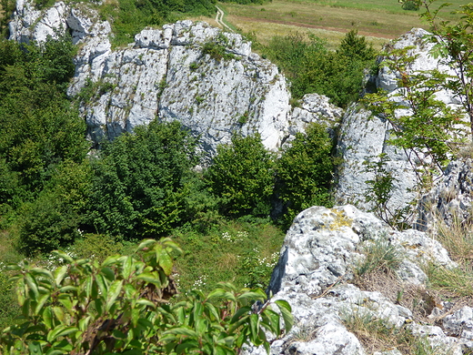 Jerzmanowice, Grodzisko.