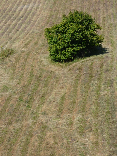 Jerzmanowice, widoczek z Grodziska.