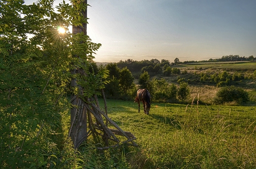 Wielopole Skrzyskie Sonice