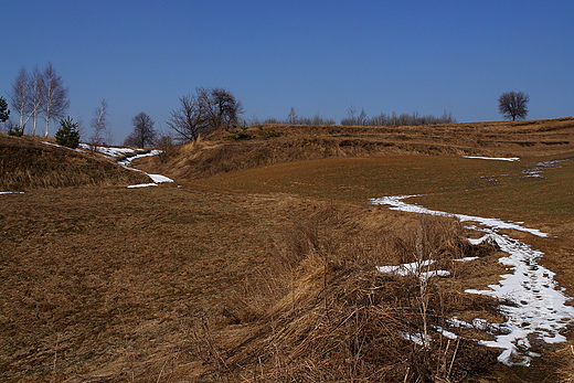 Pola w Szerzawach