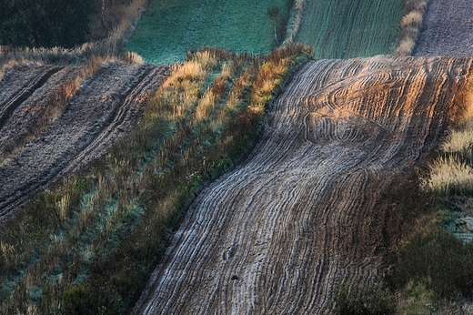 Roztocze, Antoniwka. Pierwszy przymrozek