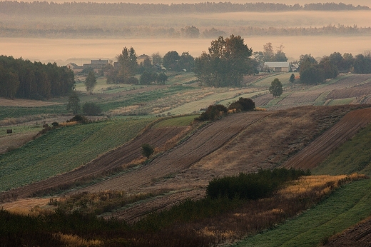 Roztocze, Antoniwka. Pierwszy przymrozek