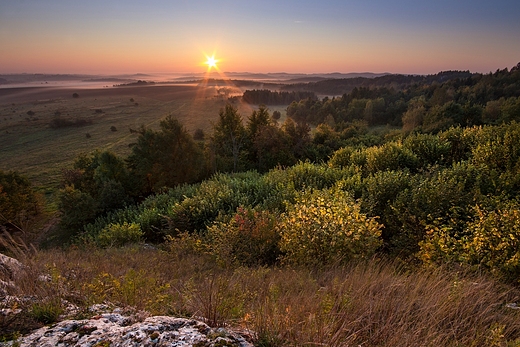 Pejza Polski