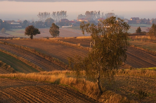 Roztocze, Antoniwka. Jesienny poranek