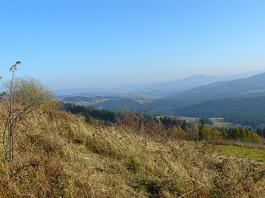 Panorama Beskidu ywieckiego