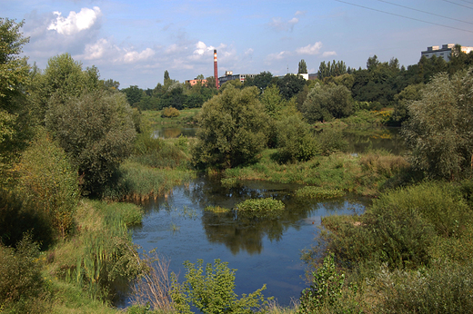 Krapkowice - Jeziorko nad Odr