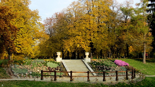 w parku...