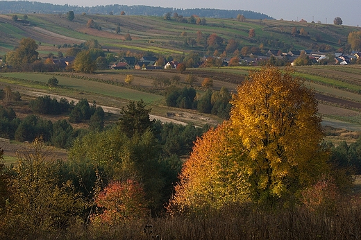 Roztocze. Widok z Bukowej Gry