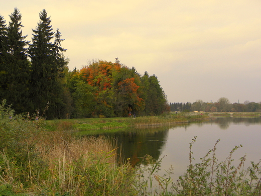 jesiennie nad zalewem