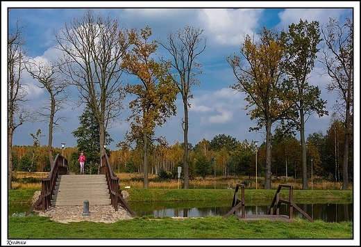 Kronice - park nalecy kiedy do zaoenia paacowego hrabiego Adalberta von der Recke von Volmerstein