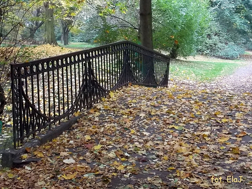 Warszawa. Jesie w Parku Skaryszewskim.