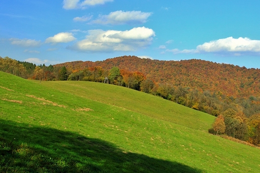 Bieszczady