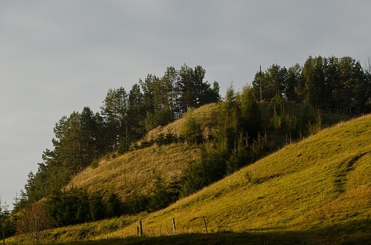 Suwalski Park Krajobrazowy - Cisowa Gra.