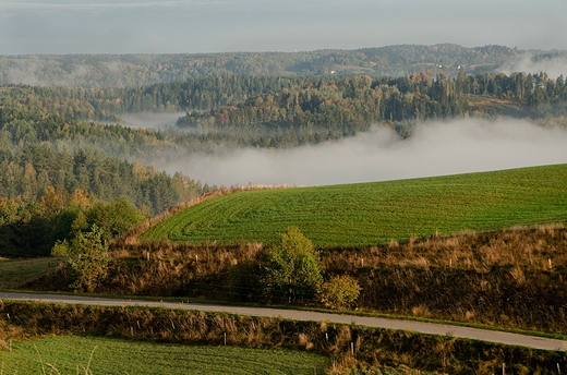 Widok z Cisowej Gry.