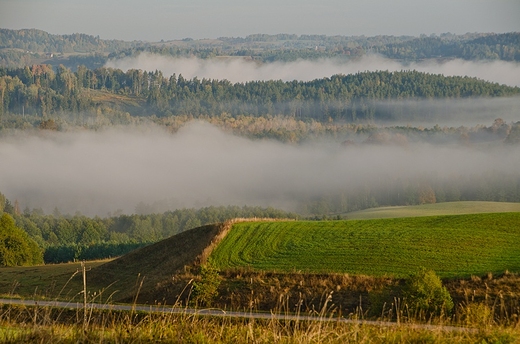 Dolina Szeszupy.