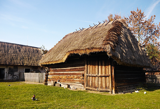 Tokarnia. Muzeum Wsi Koeleckiej jesieni.