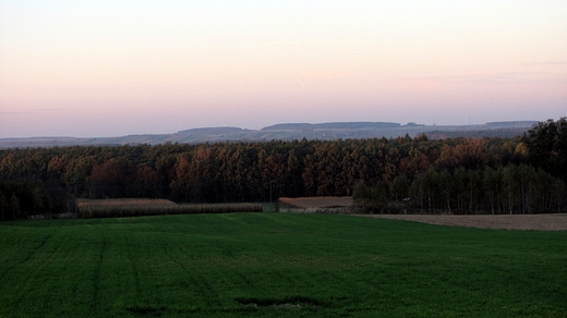 Widok na dolin rzeki Siennica