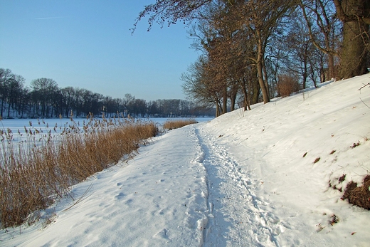 cieka nad jeziorem Mogileskim