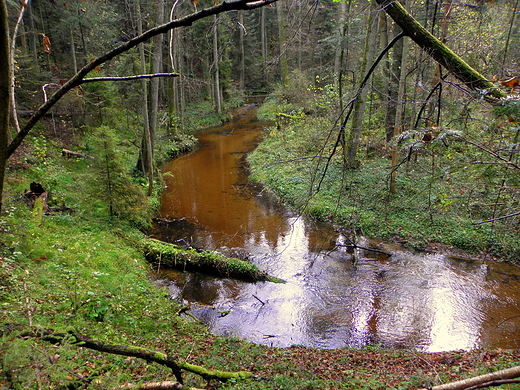 rezerwat nad Szumem