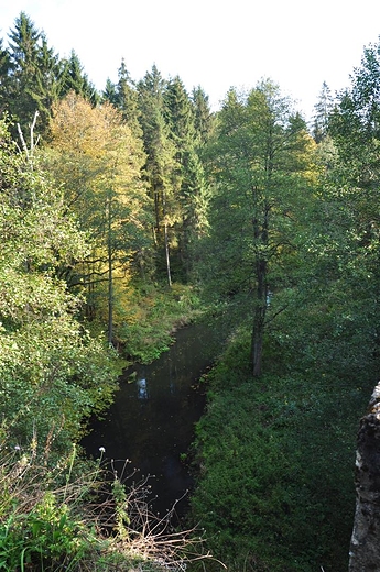 Wiadukty w Botkunach, rzeka Jarka