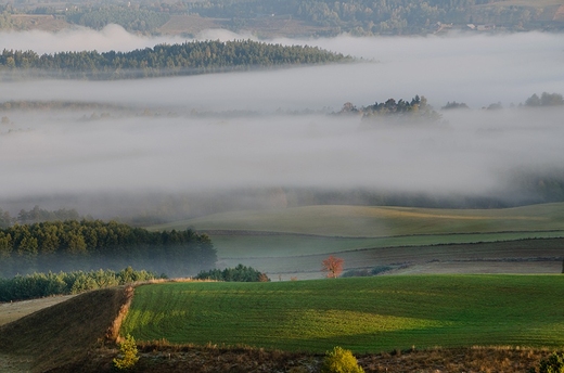 Dolina Szeszupy.