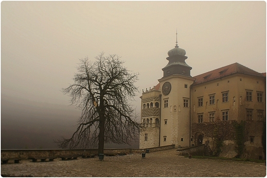 Zamek w Pieskowej Skale we mgle