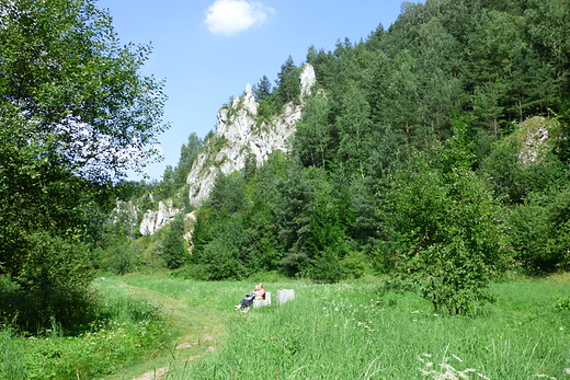 W Dolinie Kobylaskiej.