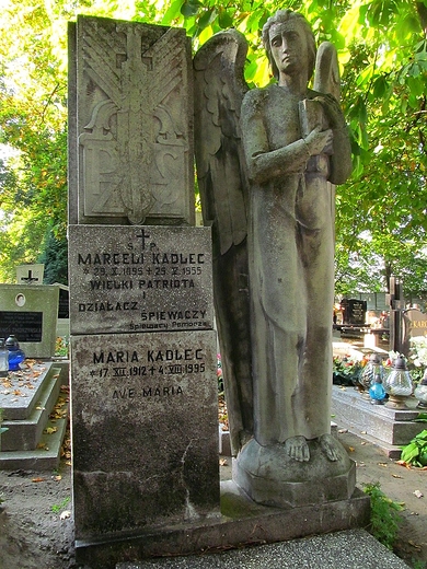 Anio na cmentarzu