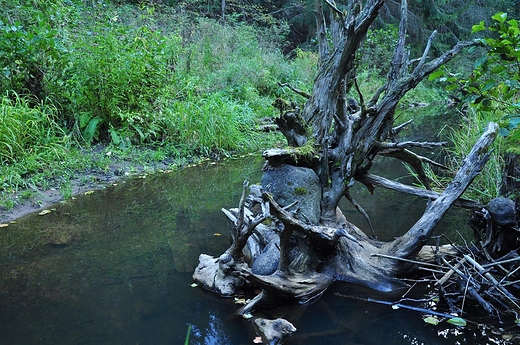 Wiatroua: stworzone przez natur