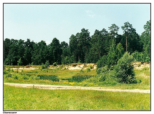 Skaraszew - roztoczaski obrazek