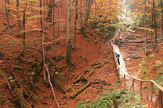 Bieszczady jesieni