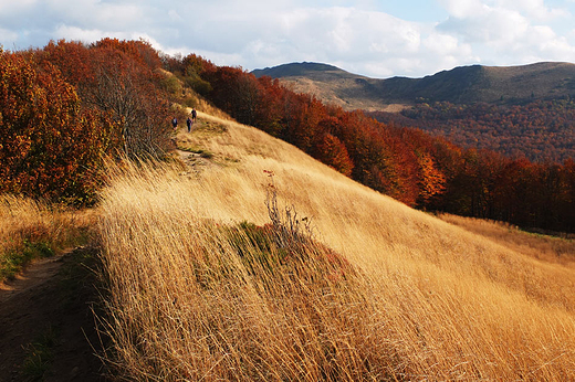 Bieszczady jesieni