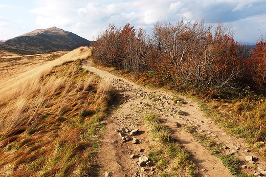 Bieszczady jesieni