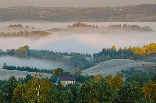 wit w Suwalskim Parku Krajobrazowym