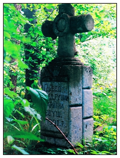 Unicki cmentarz z pocztku XIX w. w Szewni Dolnej